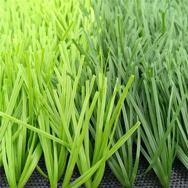 GRASS LAWN